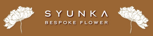 syunkalogo